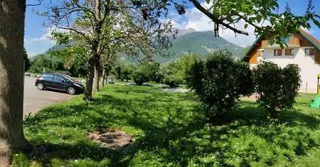 C Le Birdie *